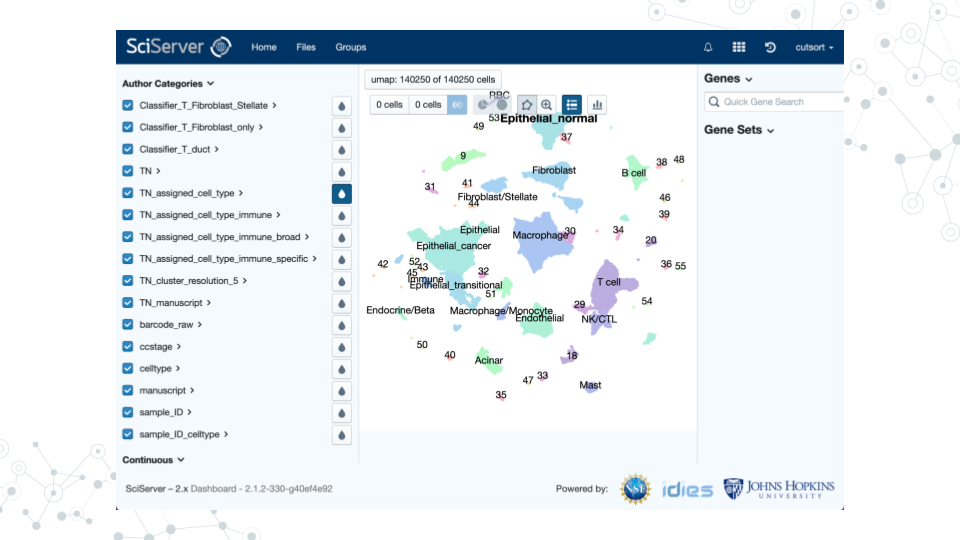 Image of cellxgene window