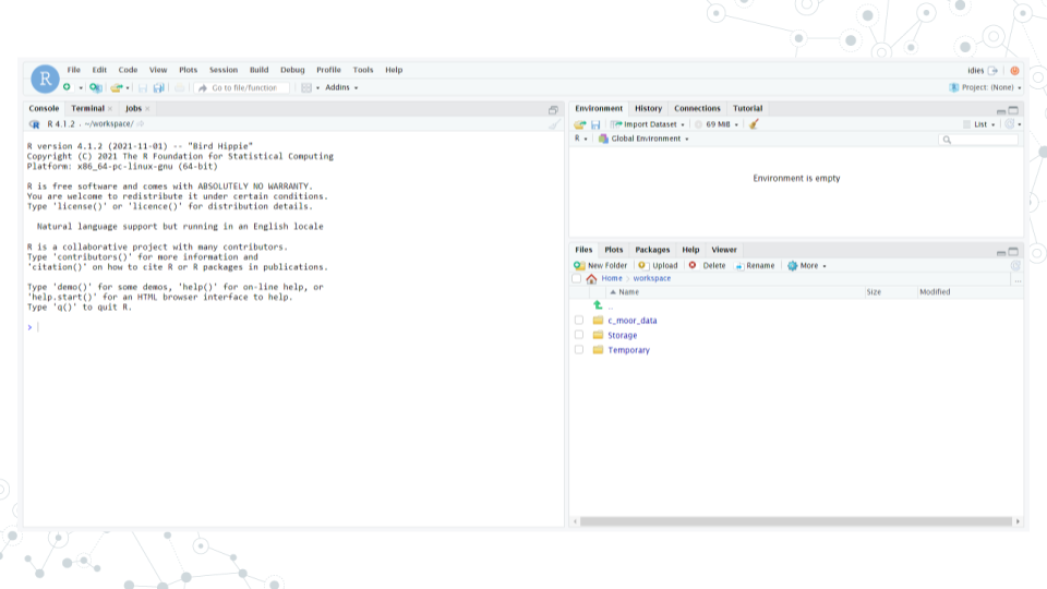 Image of RStudio screen